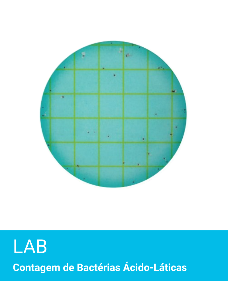 Placa Neogen Petrifilm LAB Bacterias Acido-Laticas
