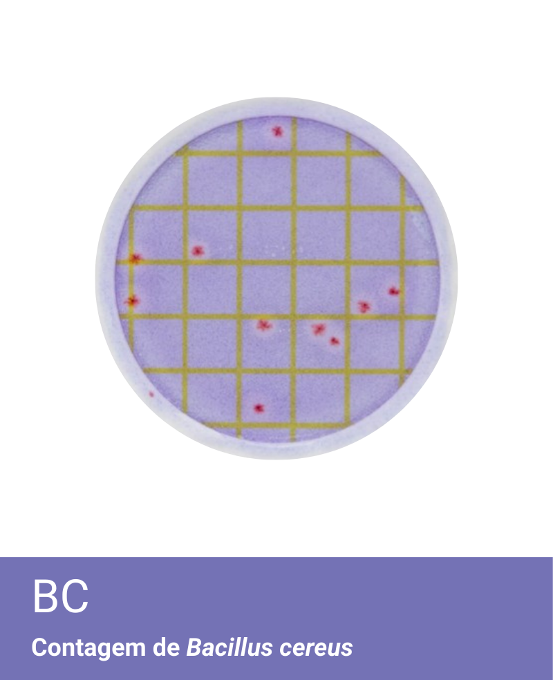 Placa Neogen Petrifilm BC Bacillus cereus