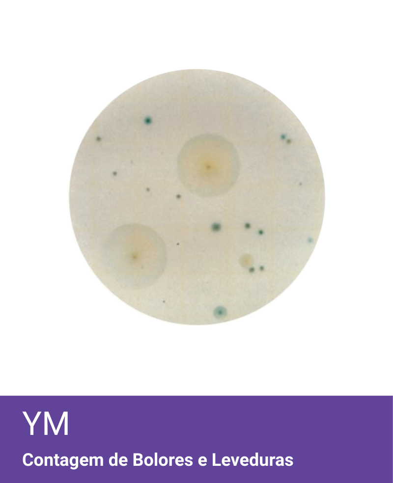 Placa Neogen Petrifilm YM Bolores e Leveduras
