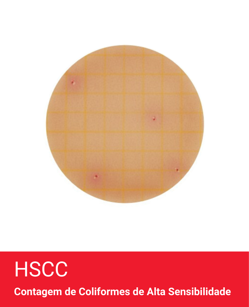 Placa Neogen Petrifilm HSCC Coliformes Alta Sensibilidade