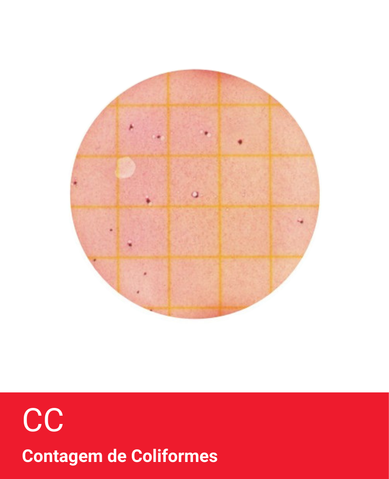Placa Neogen Petrifilm CC Coliformes
