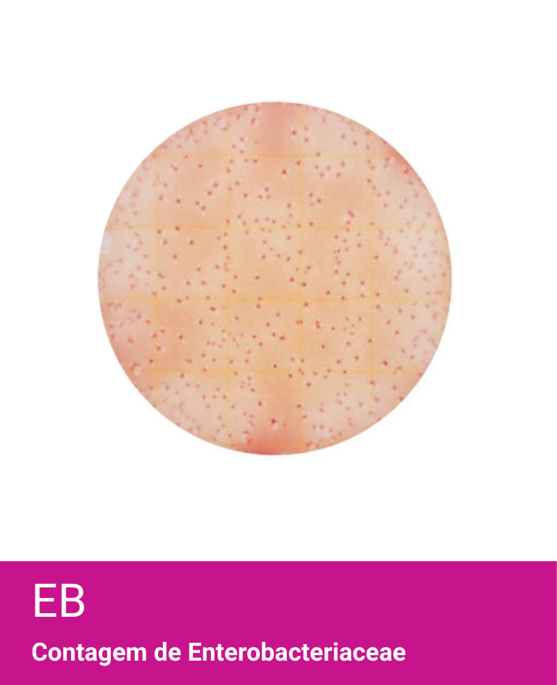 Placa Neogen Petrifilm EB Enterobacteriaceae