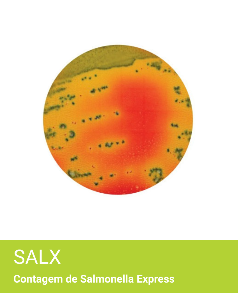 Placa Neogen Petrifilm SALX Salmonella