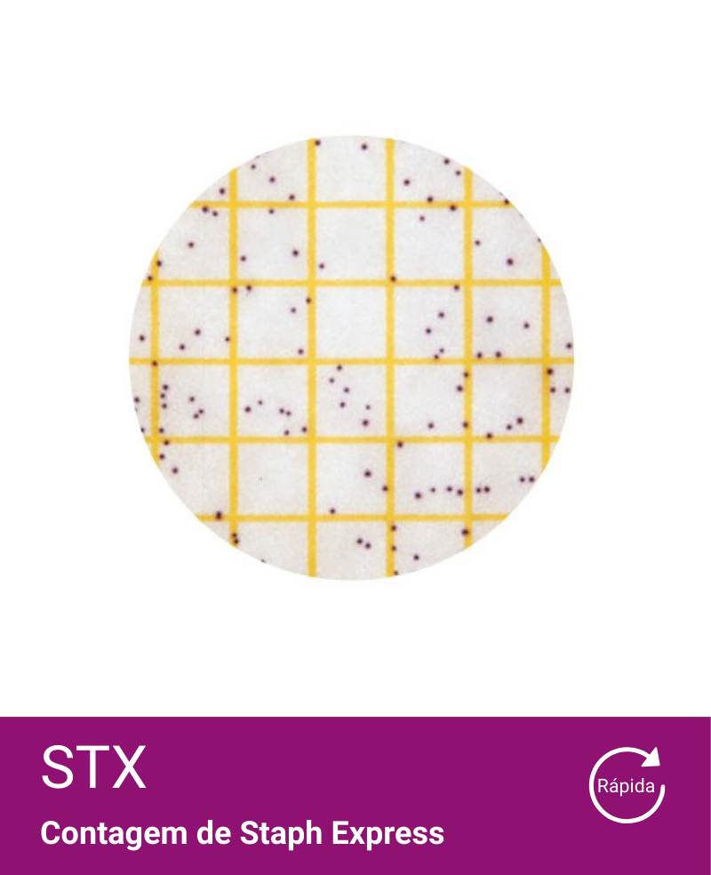 Placa Petrifilm Neogen STX Staph Express